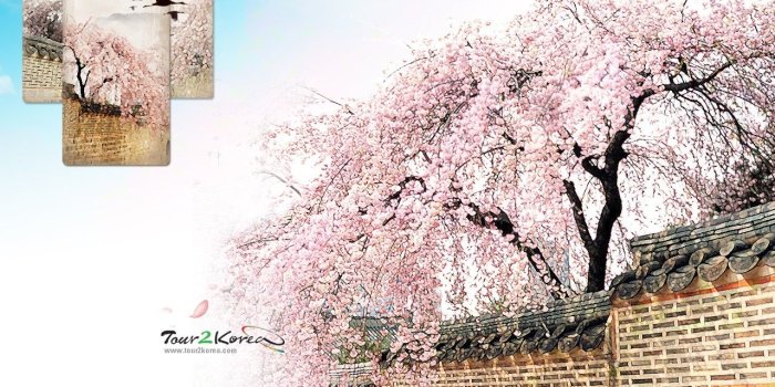 1280x1024 Download wallpaper Korea Travel wallpaper 1280x1024 wallpaper Index