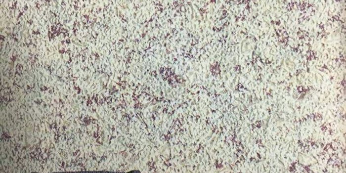 852x1136 Korean Wallpaper, Near Durga Mandir - Interior Designers in