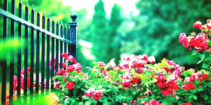 1920x1200 64+ Beautiful Garden Wallpapers on WallpaperPlay