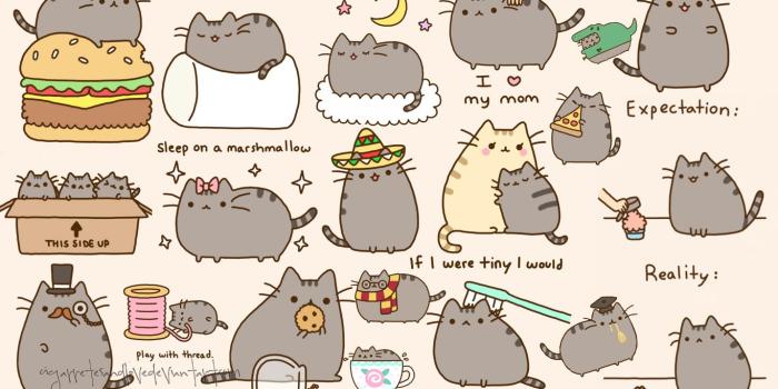 1366x768 49+] Pusheen Cat Desktop Wallpaper on WallpaperSafari