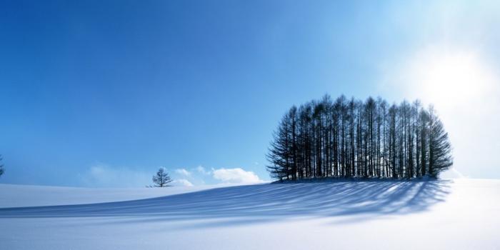 1280x804 Cold wallpapers | Cold stock photos