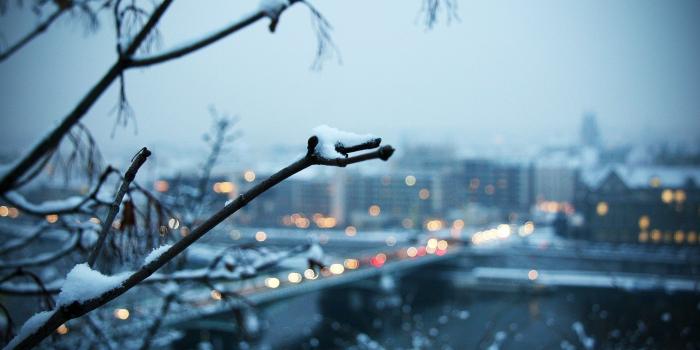 1920x1080 Cold Evening ❤ 4K HD Desktop Wallpaper for 4K Ultra HD TV • Wide