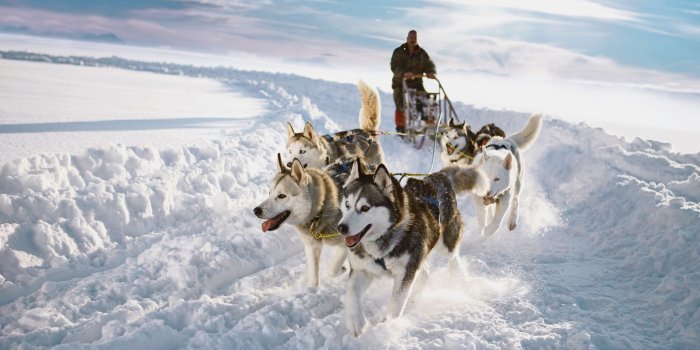 1920x1080 50+ Sledding Wallpapers - Download at WallpaperBro