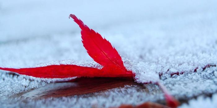 1280x804 Cold wallpapers | Cold stock photos