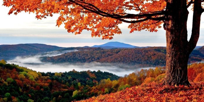 1920x1080 1920x1080 HD Autumn Wallpapers (61+ images)