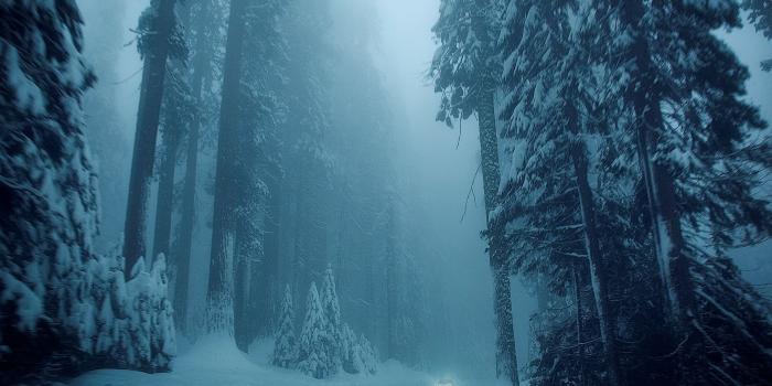 1920x1200 Cold Road #6780532