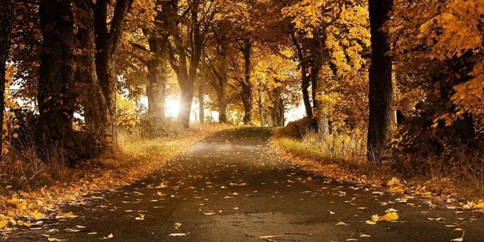 1600x900 3D Fall Wallpapers