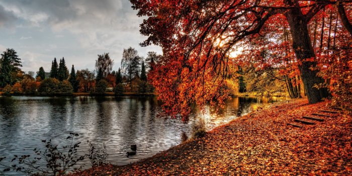 1920x1077 Autumn Wallpaper[1920x1080] : wallpaper