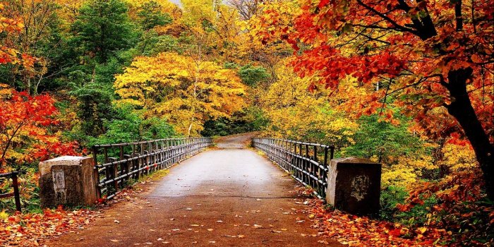 1280x800 Autumn Wallpaper - Autumn Wallpaper (35867750) - Fanpop