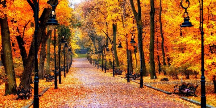 1280x800 Autumn Wallpaper in 2019 | September, Rosh Hashanah, Autumnal