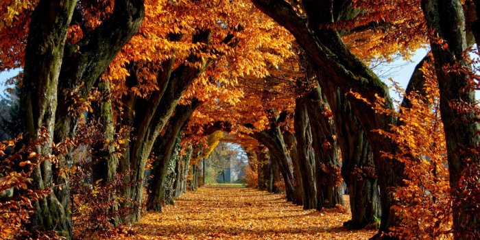 2560x1600 Autumn Screen Wallpaper (64+ images)