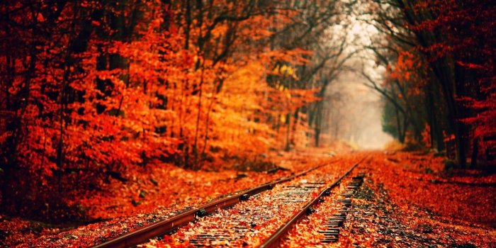 1920x1080 70+ 1920X1080 Fall Wallpapers on WallpaperPlay