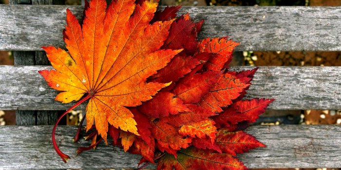 1920x1080 Autumn Wallpaper HD let you feel the magic of Fall