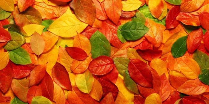 1600x900 Autumn Wallpapers (45 images) - Wallpaper Stream