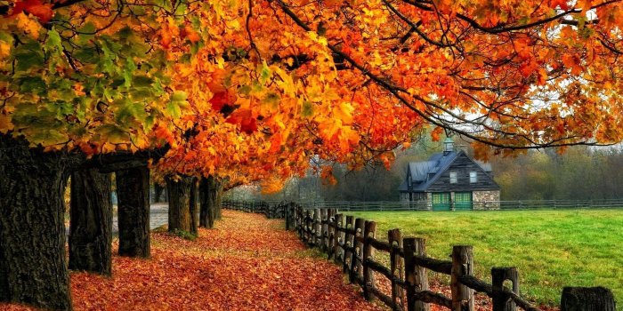 1920x1200 Autumn Wallpaper Examples for Your Desktop Background