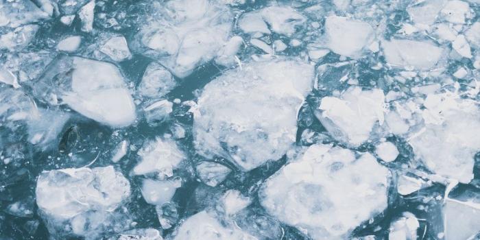 1000x1500 cold leaves wallpaper