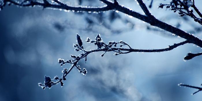 2560x1440 Cold Day ❤ 4K HD Desktop Wallpaper for 4K Ultra HD TV • Dual