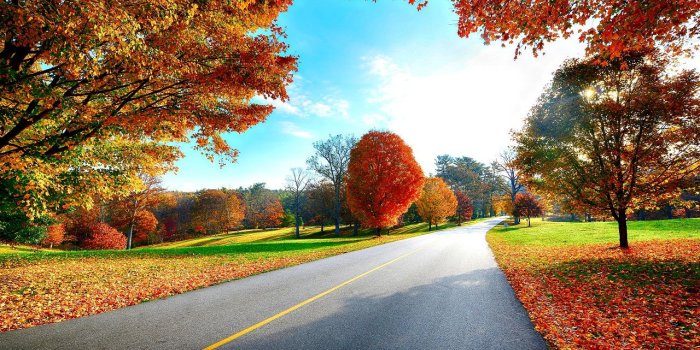 1280x800 Autumn Wallpaper - Autumn Wallpaper (35867754) - Fanpop