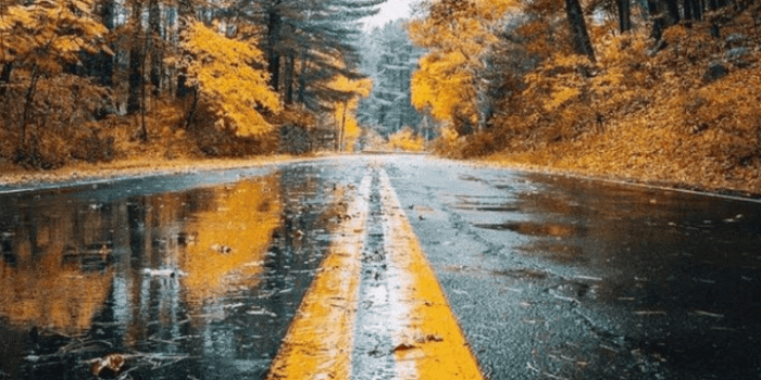 720x1280 Autumn Wallpaper discovered by alexandralupan