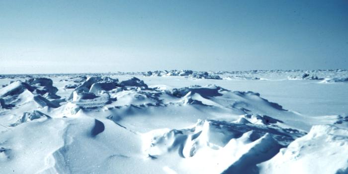 1716x1160 Freezing Cold Ic HD Wallpaper, Background Images