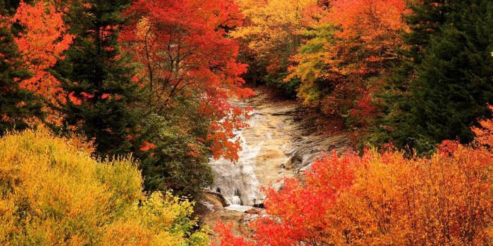 1920x1080 70+ 1920X1080 Fall Wallpapers on WallpaperPlay