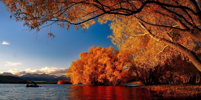 1920x1200 New Zealand Autumn ❤ 4K HD Desktop Wallpaper for 4K Ultra HD TV