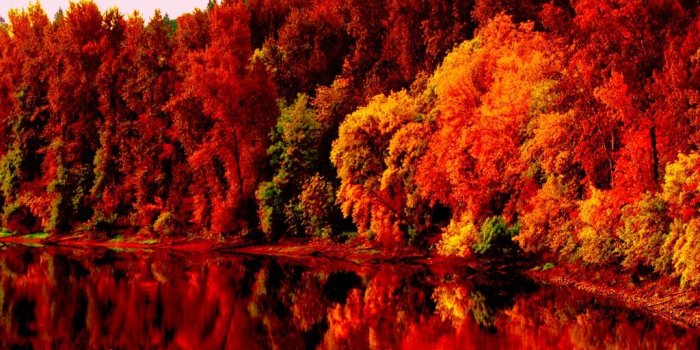 1024x768 17946 free wallpaper autumn