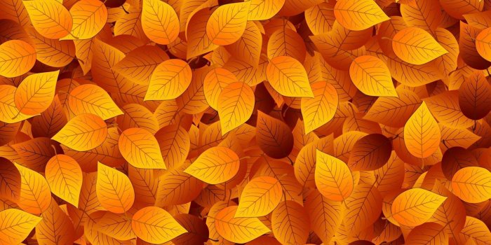 2457x1382 Autumn Leaves Wallpapers Vector Wallpapers | SOIDERGI