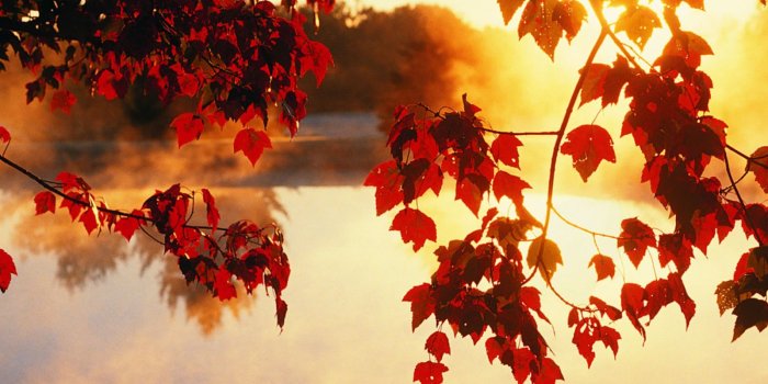 1600x1200 Autumn Wallpaper #6872152