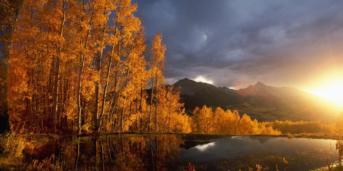 1920x1080 31+] 1920x1080 HD Autumn Wallpapers on WallpaperSafari