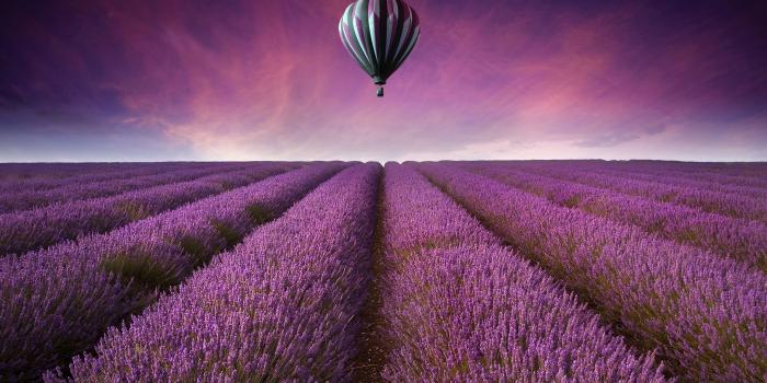 3500x1920 195 Lavender HD Wallpapers | Background Images