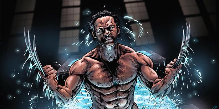 2560x1440 77+ Wolverine Wallpapers on WallpaperPlay