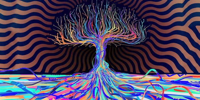 1920x1080 74+] Lsd Wallpapers on WallpaperSafari