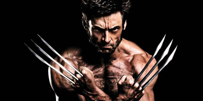 2880x1800 Wolverine HD Wallpapers - Top Free Wolverine HD Backgrounds