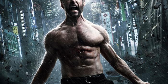 2048x1536 The Wolverine Wallpaper ID:808