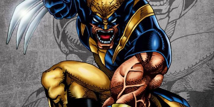 885x1160 43+] Wolverine Wallpaper Full HD on WallpaperSafari