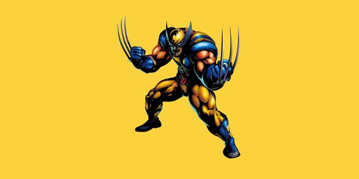 3840x2160 Wolverine ready for a fight wallpaper - Comic wallpapers - #50919