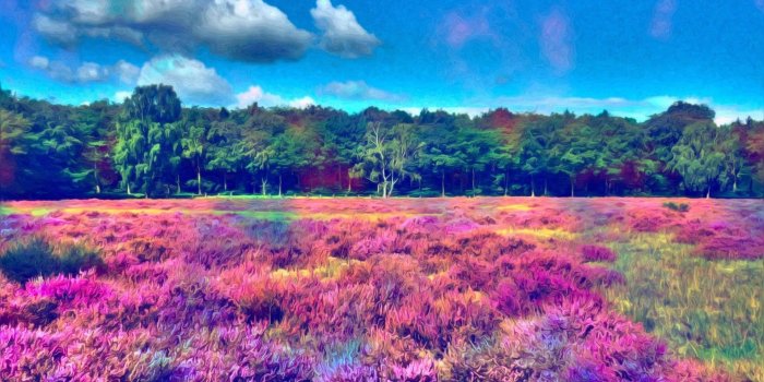 1920x1080 4589447 #landscape, #trees, #glitch art, #colorful, #LSD, #grass