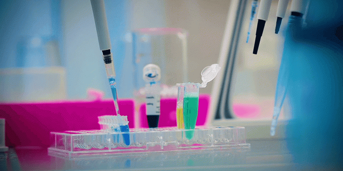 1920x1080 Close-Up Scientist Makes Biochemical Analyzes in the Laboratory Stock Video  Footage - Storyblocks Video