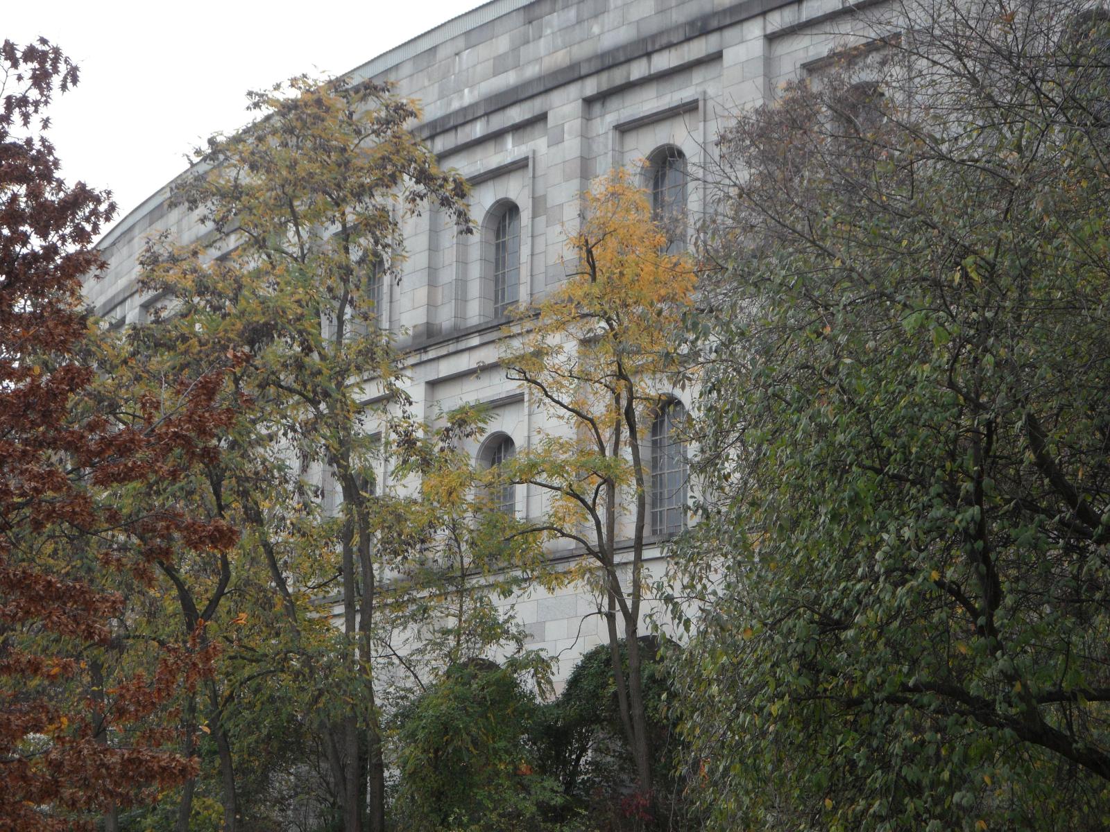 4320x3240 unpainted grey establishment covered with trees free image | Peakpx