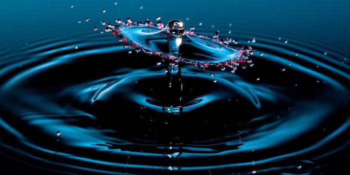 1920x1200 Water Drops Photography Stop Wallpaper [1920x1200]