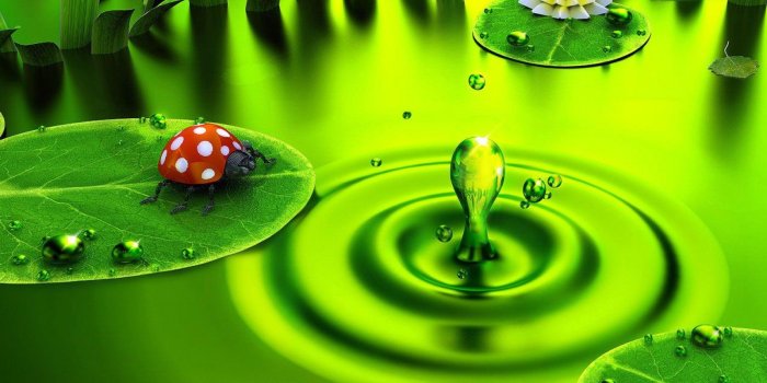 1600x1001 Top HD Desktop Wallpapers With High Standard Resolution – Download