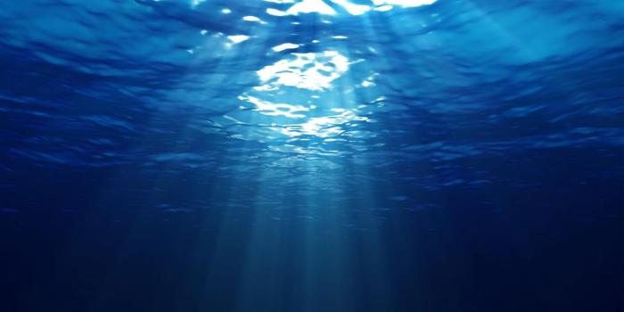 1920x1080 Under Water Wallpaper 06 - [1920x1080]