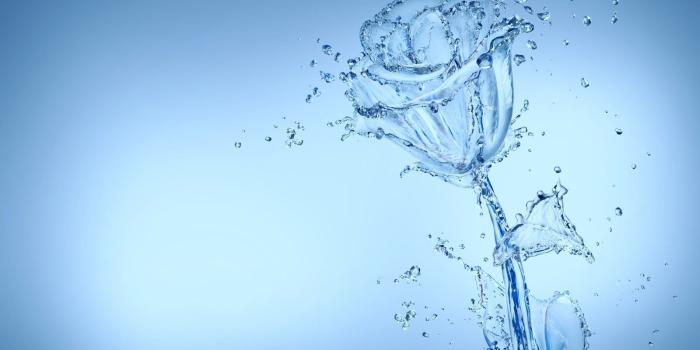 1600x1000 46+] Water Wallpaper Background on WallpaperSafari