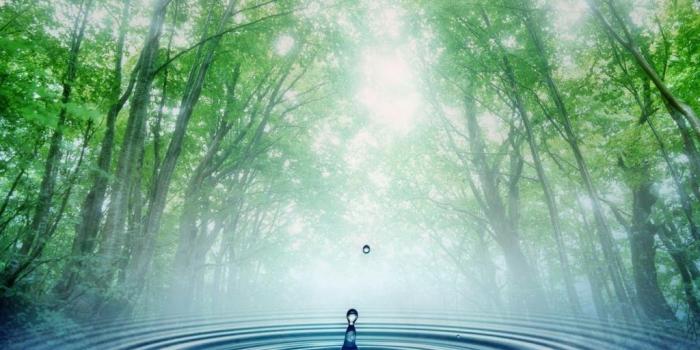 1024x768 Drinking Wat HD Wallpaper, Background Images