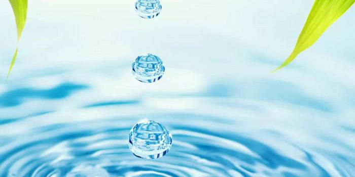 1080x1920 Bamboo Leaves Water Drops iPhone 6 Plus HD Wallpaper HD - Free