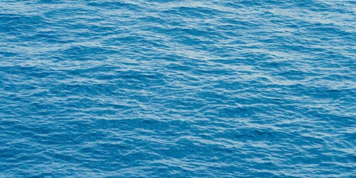 1000x1500 seamwater wallpaper