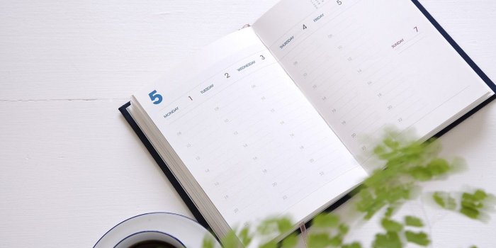 1332x850 Wallpaper plant, coffee, Cup, Notepad, diary images for desktop