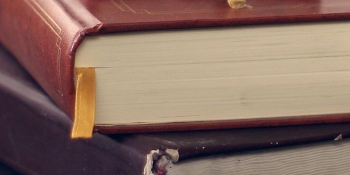 800x1420 Download wallpaper 800x1420 book, diary, bookmark iphone se/5s/5c/5