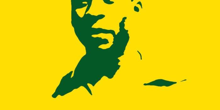 894x894 Stunning Pele Picture
